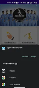 Cricket Tips By Hardik screenshot 0