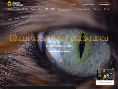 AdsWild - Хищники Маркетинга screenshot 15