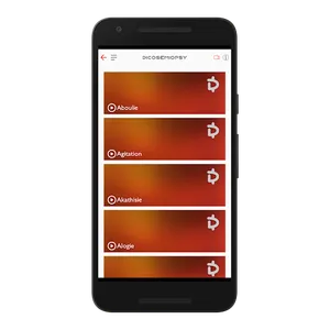 DICOSEMIOPSY screenshot 2