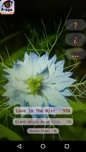 A-eye: Flower Identification a screenshot 0