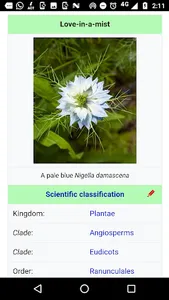 A-eye: Flower Identification a screenshot 2