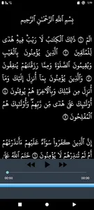 سورة البقرة رعد الكردي بدون نت screenshot 5