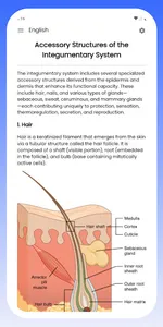 Integumentary System screenshot 10