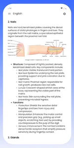 Integumentary System screenshot 11