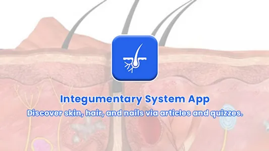 Integumentary System screenshot 12