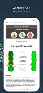 Lymphatic System screenshot 2