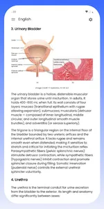 Urinary System screenshot 12