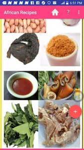 African Food Recipes 2020 screenshot 4