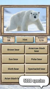 Animal Kingdom - Quiz Game screenshot 1