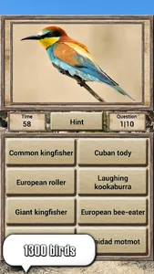 Animal Kingdom - Quiz Game screenshot 10