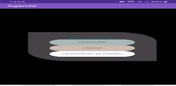 RecordadoDSS screenshot 0