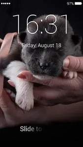 Puppy Lock Screen & Wallpapers screenshot 5