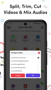 SplitterPro - Video Splitter screenshot 2