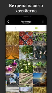 Аграрная Россия screenshot 1