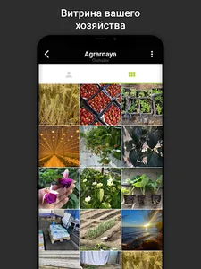 Аграрная Россия screenshot 9