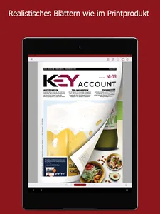 Key Account screenshot 10