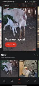 Stock plug screenshot 0