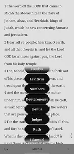Bible screenshot 1