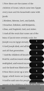 Bible screenshot 2