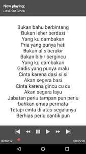 Lagu Dangdut Rhoma Irama+Lirik screenshot 5
