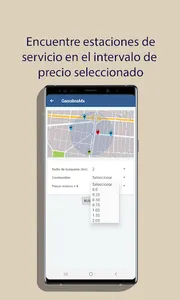 Gasolina Mex screenshot 5