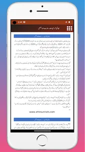 Hijaz Ki Aandhi حجاز کی آندھی screenshot 28