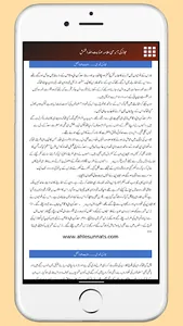Hijaz Ki Aandhi حجاز کی آندھی screenshot 6