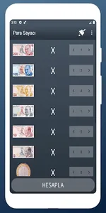 Para Sayacı (₺) screenshot 0
