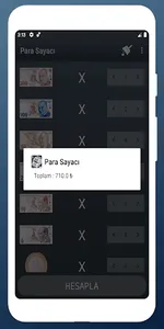 Para Sayacı (₺) screenshot 1