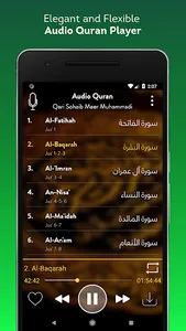 Audio Quran Mp3 Offline/Online screenshot 0