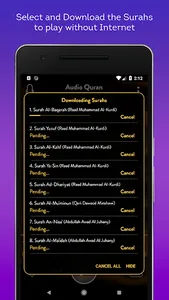 Audio Quran Mp3 Offline/Online screenshot 3