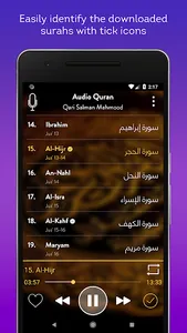 Audio Quran Mp3 Offline/Online screenshot 4