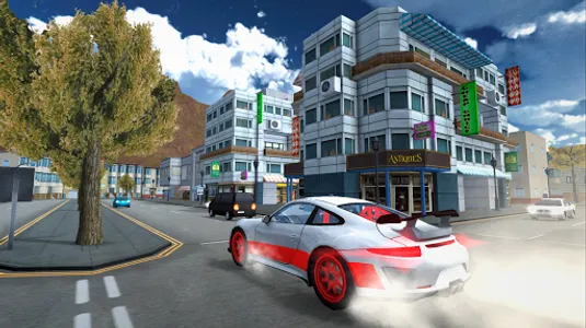 Racing Car Driving Simulator screenshot 12