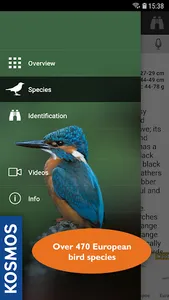 Birds of Europe: Identificatio screenshot 0