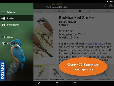 Birds of Europe: Identificatio screenshot 12