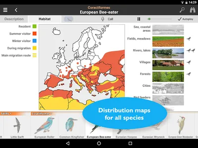 Birds of Europe: Identificatio screenshot 13