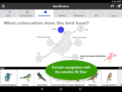 Birds of Europe: Identificatio screenshot 8