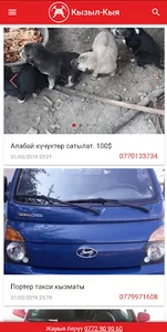 Кызыл-Кыя screenshot 1