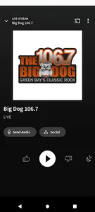 The Big Dog Green Bay screenshot 1