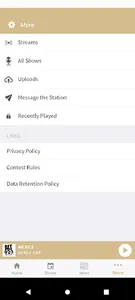 Alt 92.3 New Orleans screenshot 4