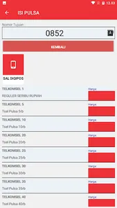 DIGIPLUS screenshot 3