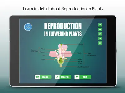 Reproduction-Flowering Plants screenshot 10