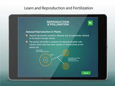 Reproduction-Flowering Plants screenshot 12