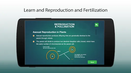 Reproduction-Flowering Plants screenshot 2