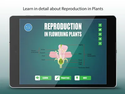 Reproduction-Flowering Plants screenshot 5