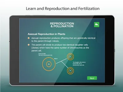 Reproduction-Flowering Plants screenshot 7