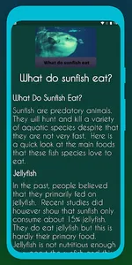 Sunfish screenshot 0