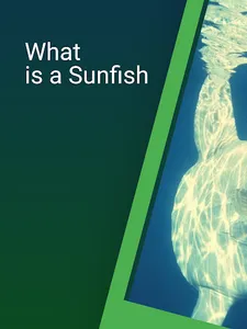 Sunfish screenshot 6