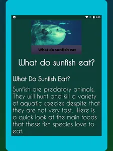Sunfish screenshot 7