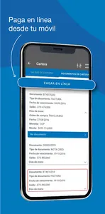 AJOVER | DARNEL screenshot 2